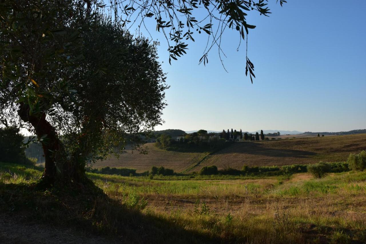 Agriturismo Cheloni Guasticce Екстер'єр фото