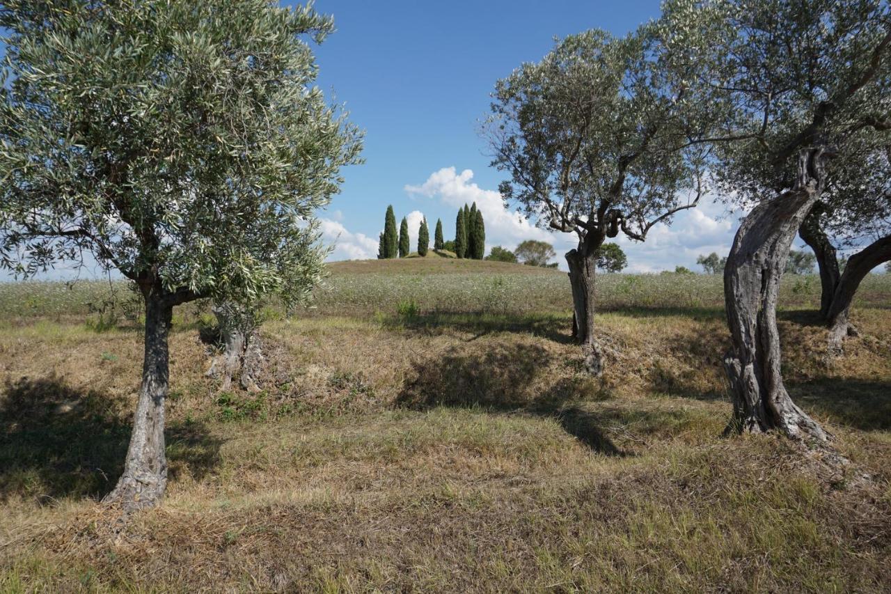 Agriturismo Cheloni Guasticce Екстер'єр фото