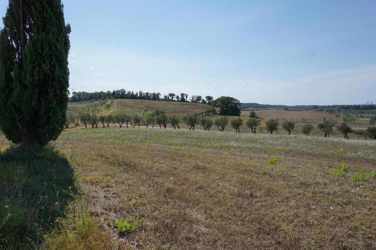 Agriturismo Cheloni Guasticce Екстер'єр фото