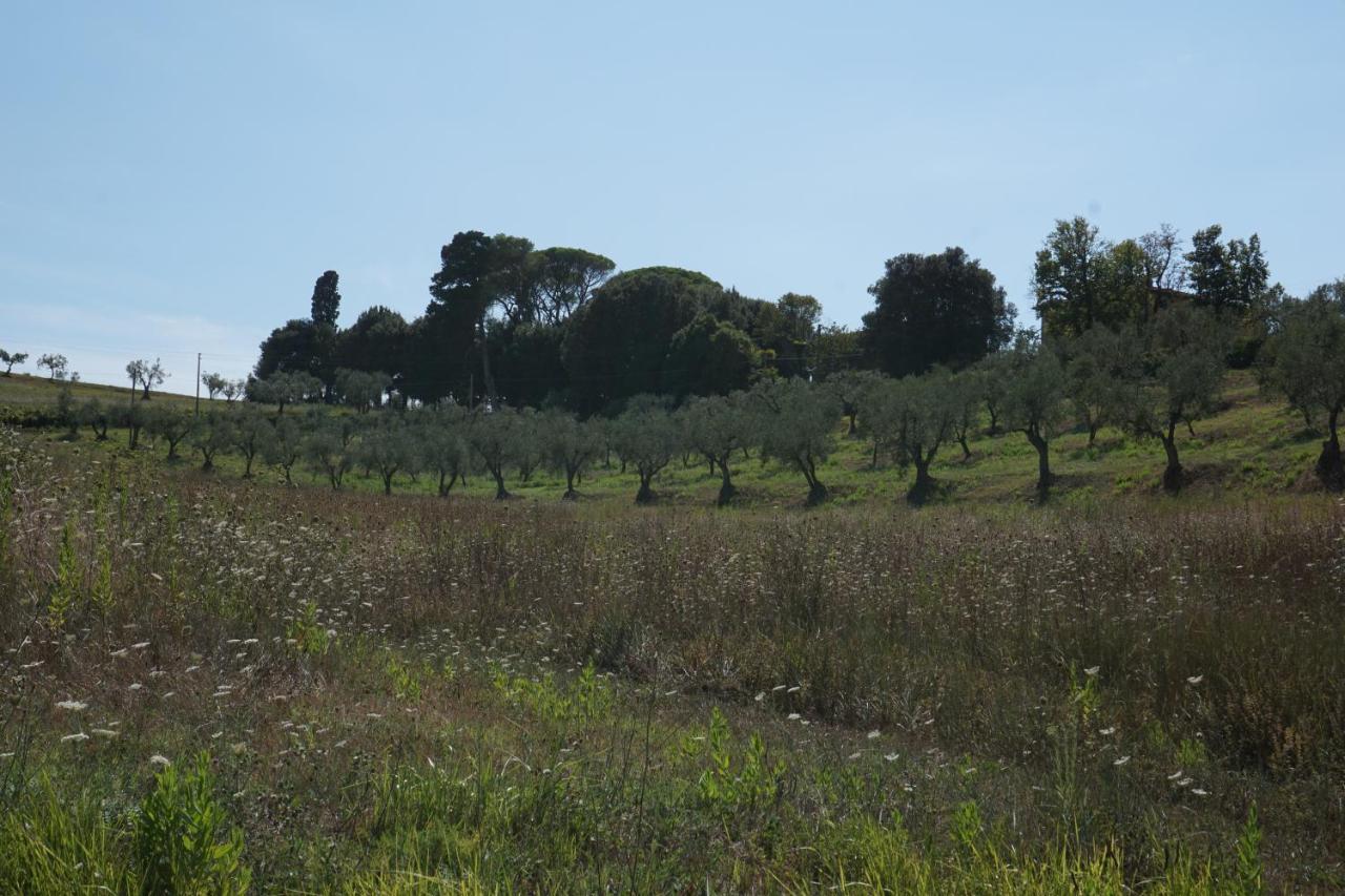 Agriturismo Cheloni Guasticce Екстер'єр фото
